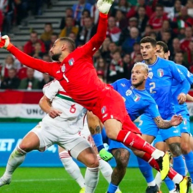 cover image of the auction item