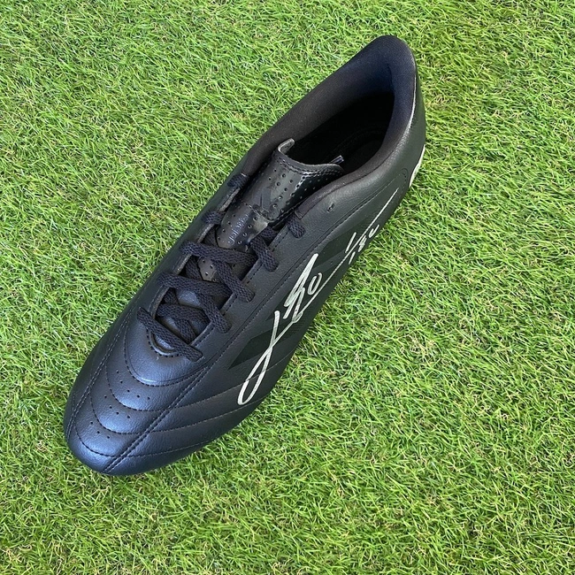 cover of the auction item