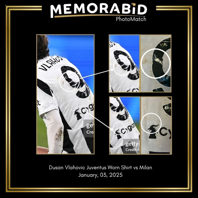 cover of the auction item