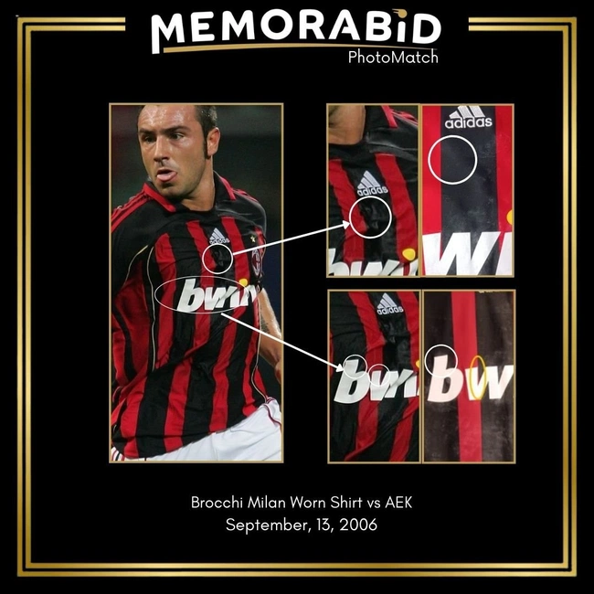 cover of the auction item