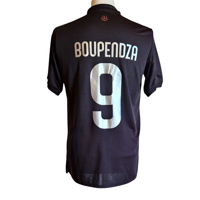 cover of the auction item