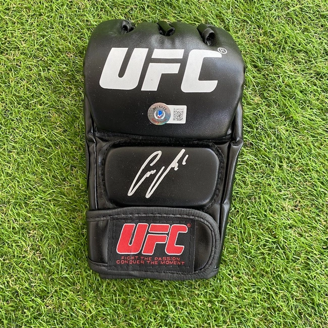 cover of the auction item