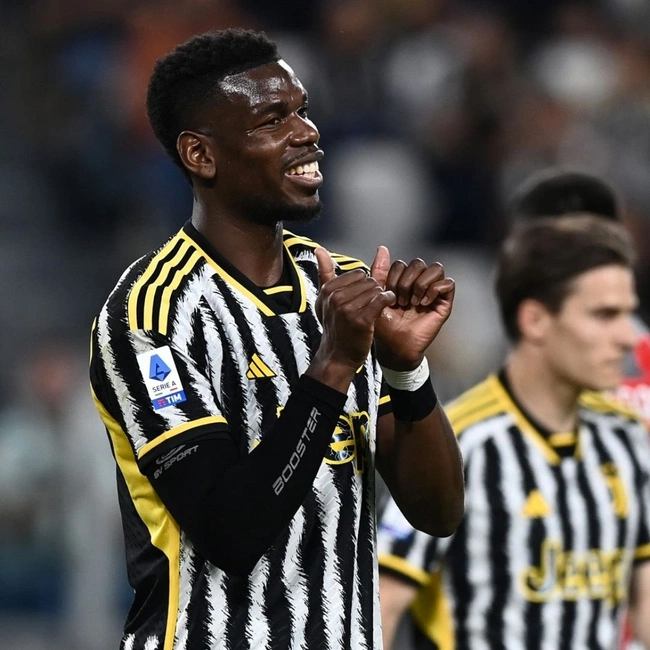 cover of the auction item