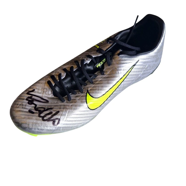 cover of the auction item