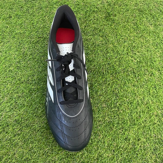 cover of the auction item