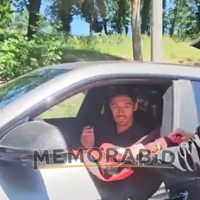 cover of the auction item