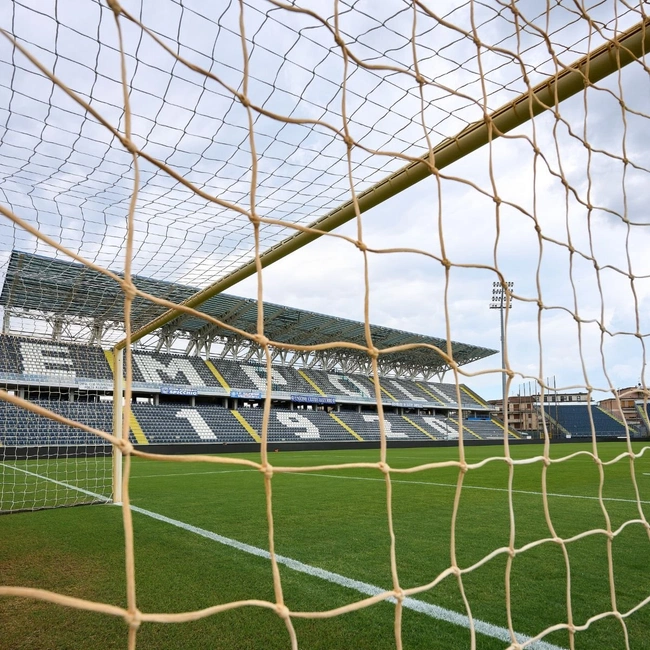 cover image of the auction item