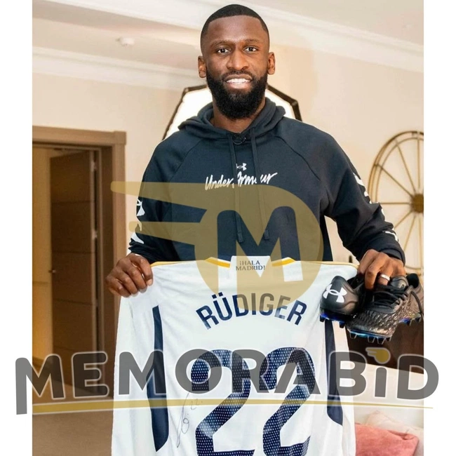 cover of the auction item