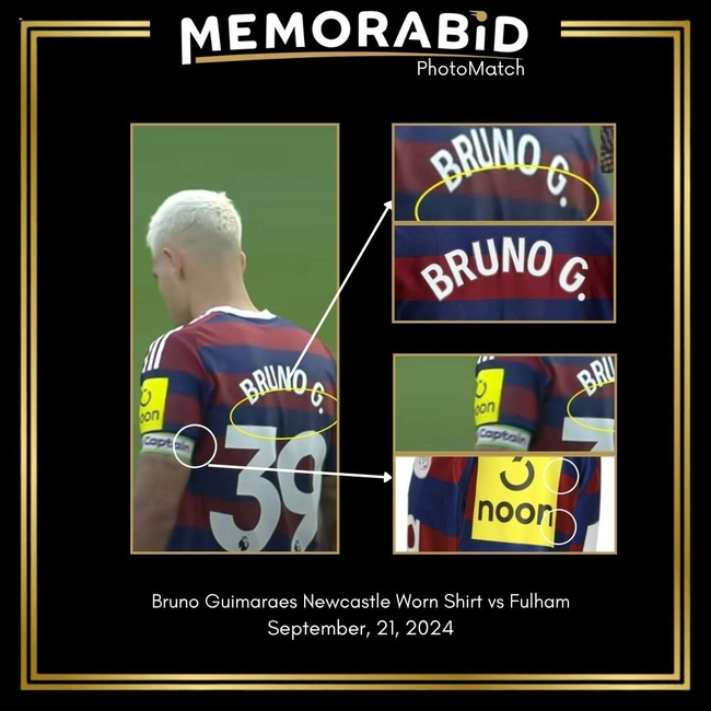 cover of the auction item