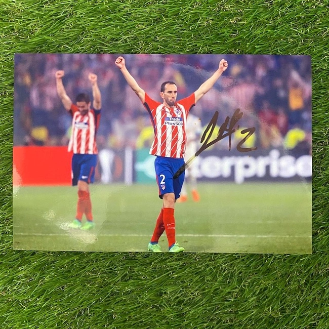 cover image of the auction item