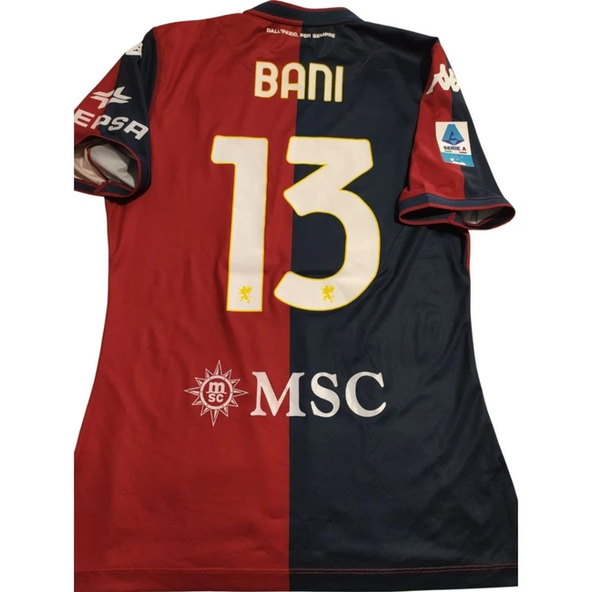 cover of the auction item