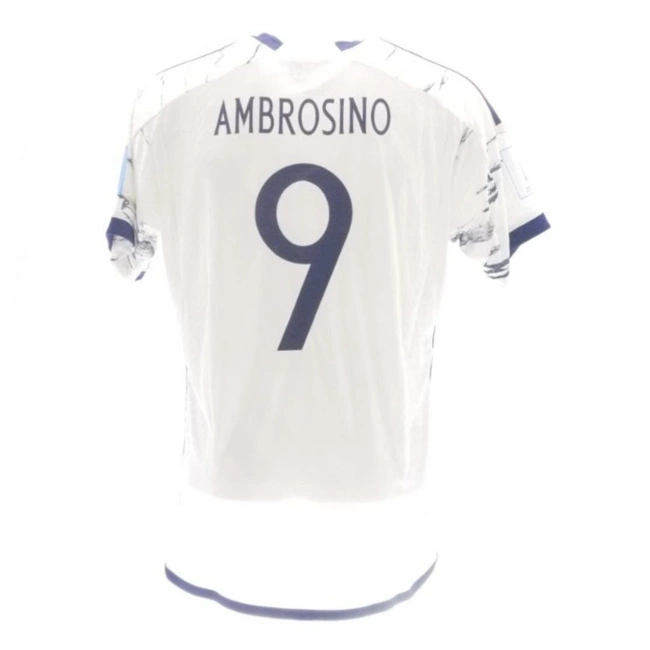 cover of the auction item