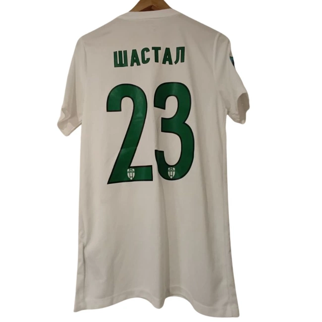 cover of the auction item