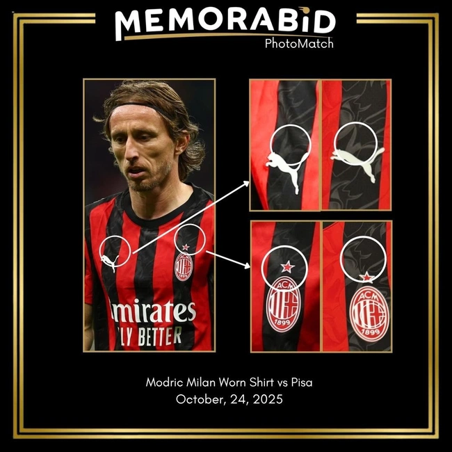 cover image of the auction item