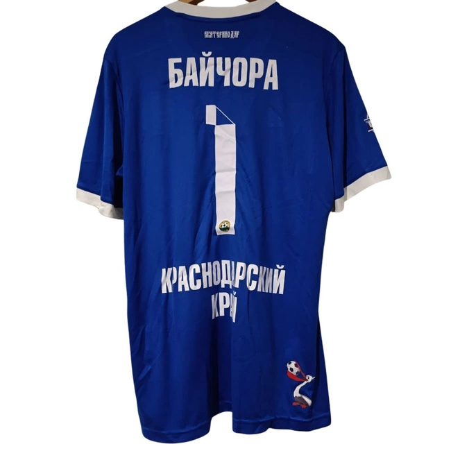 cover of the auction item