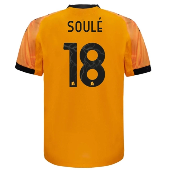 cover of the auction item