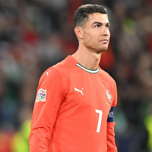 cover of the auction item