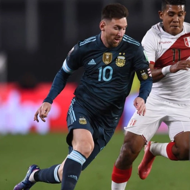 cover of the auction item