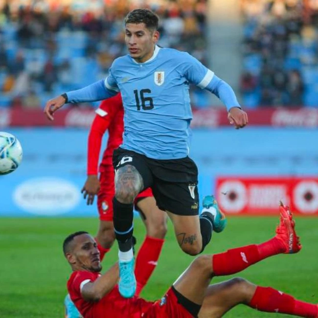 cover image of the auction item