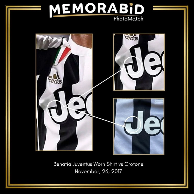 cover of the auction item