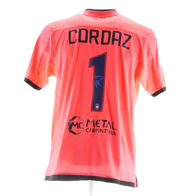 cover of the auction item