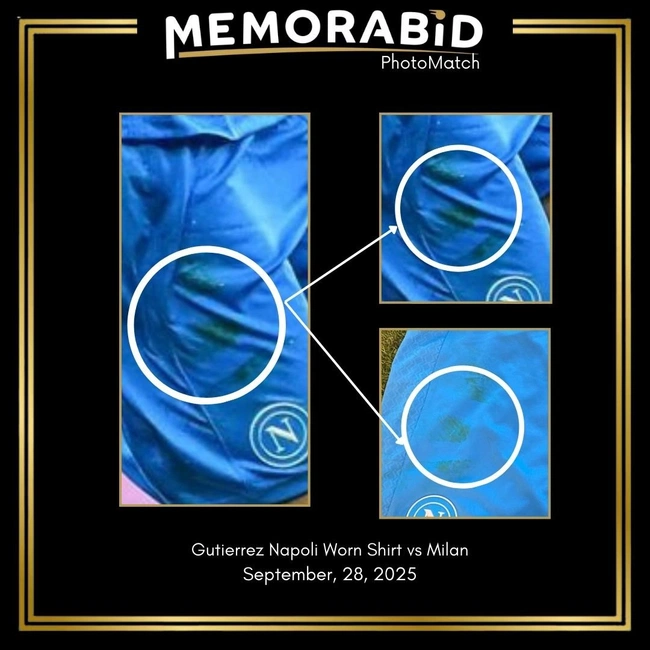 cover of the auction item