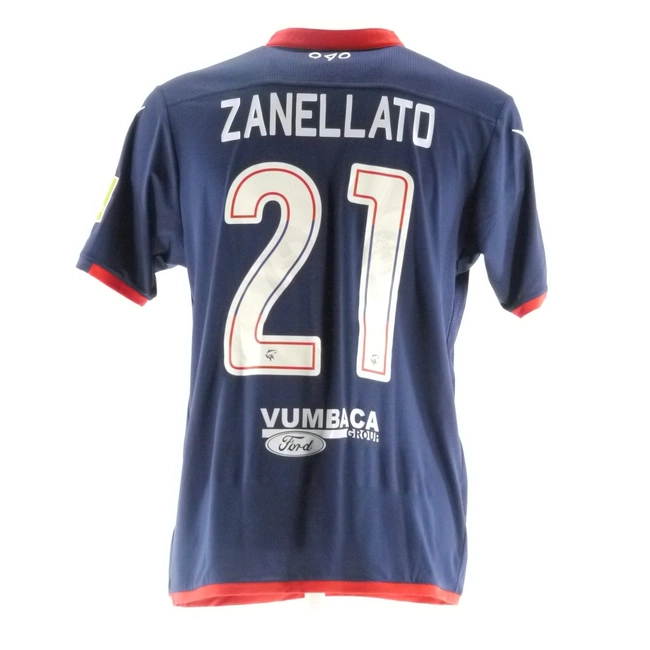 cover of the auction item