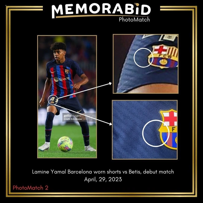 cover of the auction item