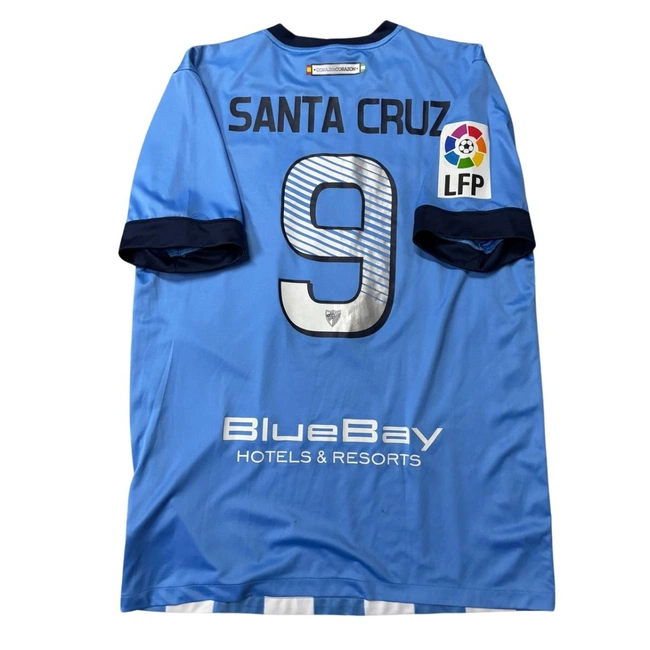 cover of the auction item