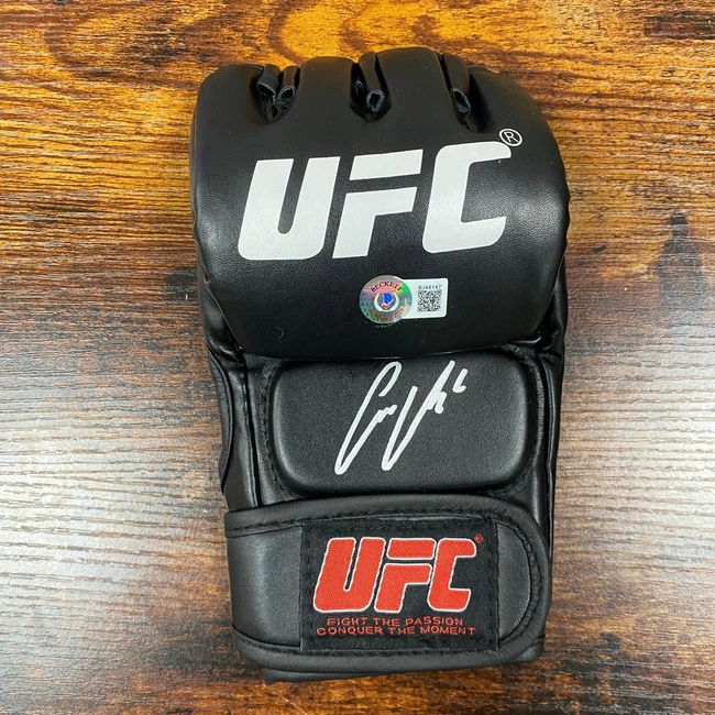 cover of the auction item