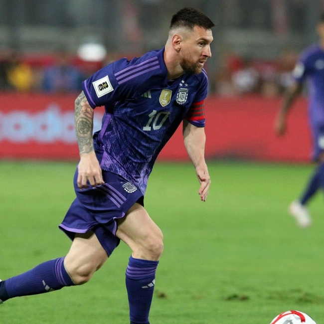 cover of the auction item