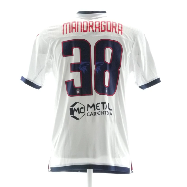 cover of the auction item