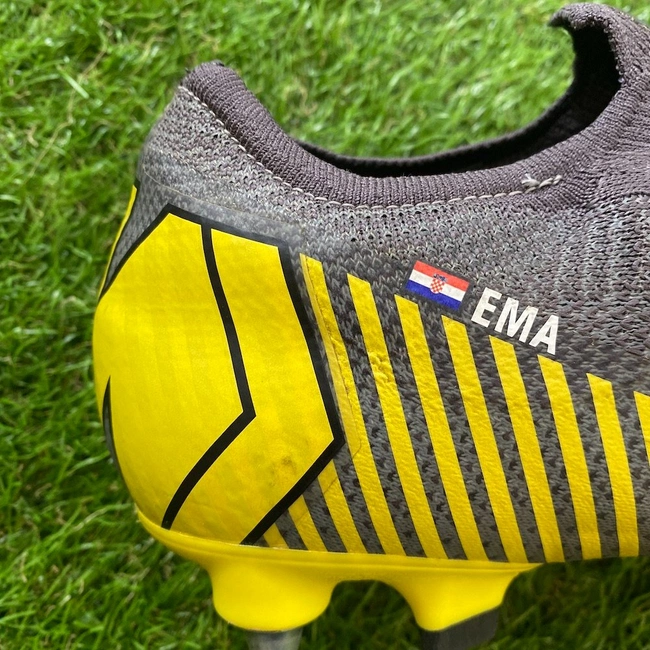 cover of the auction item