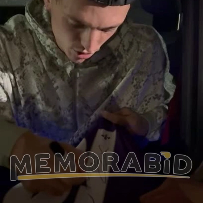 cover of the auction item