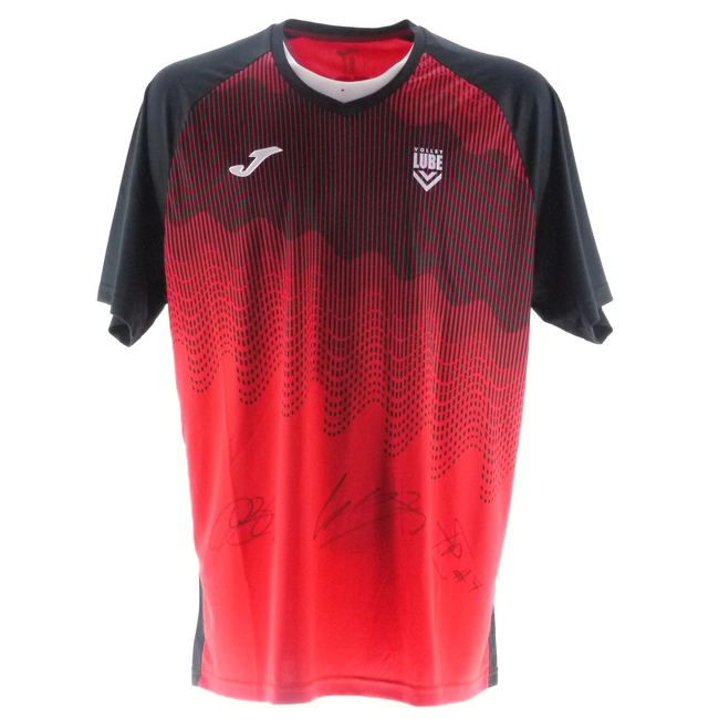 cover of the auction item