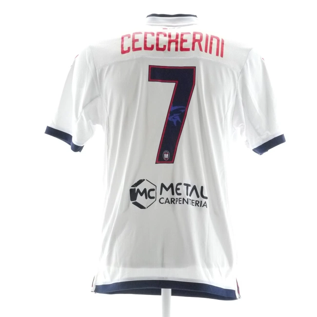 cover of the auction item