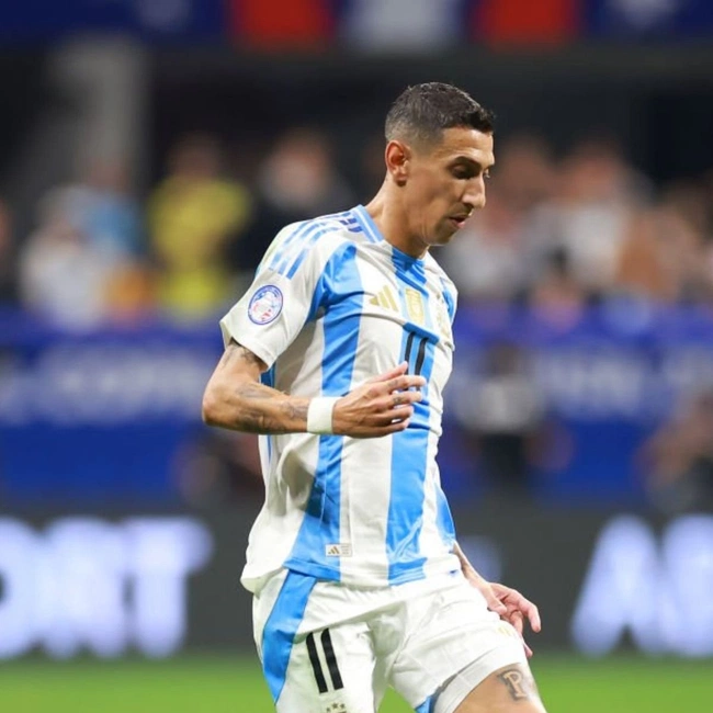 cover of the auction item