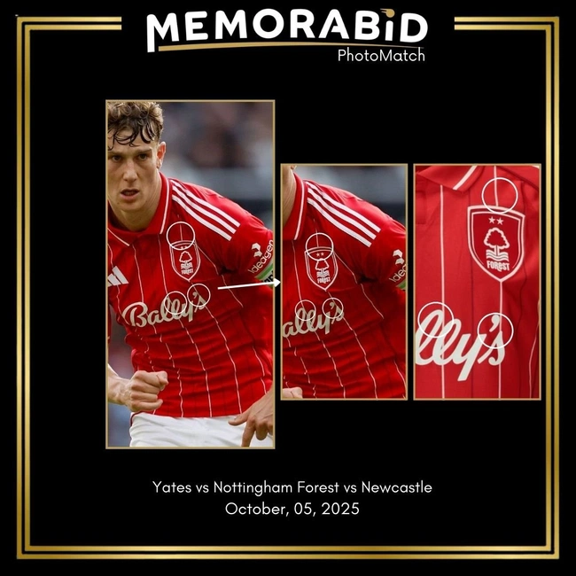 cover of the auction item