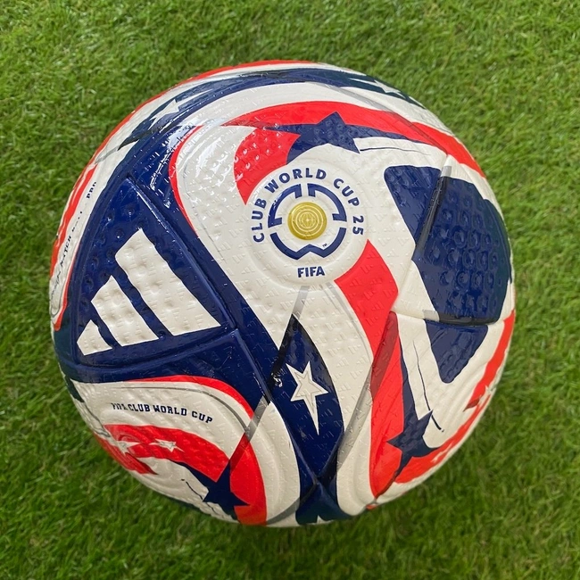 cover of the auction item