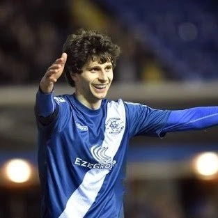 cover of the auction item