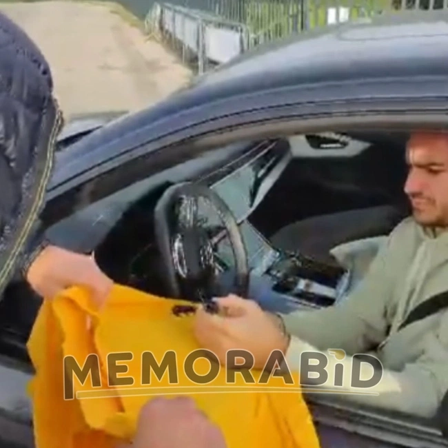 cover image of the auction item