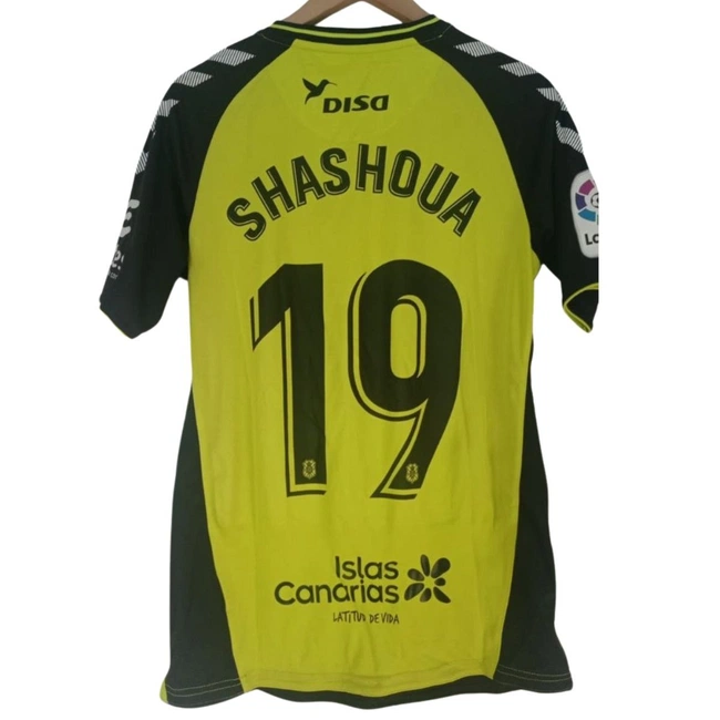 cover of the auction item