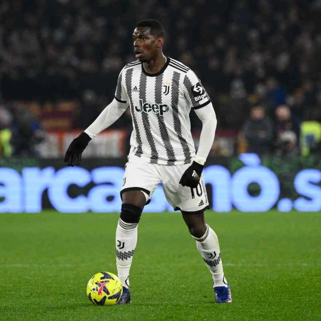 cover of the auction item