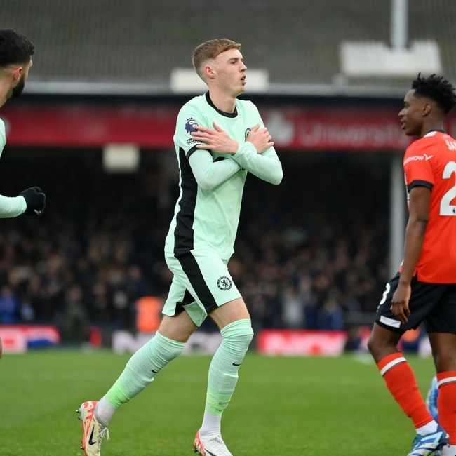 cover of the auction item