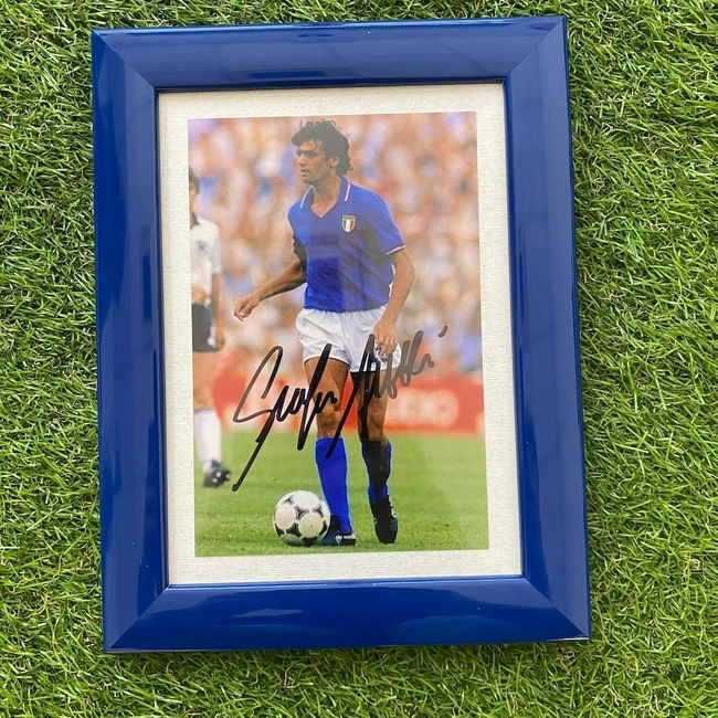 cover image of the auction item