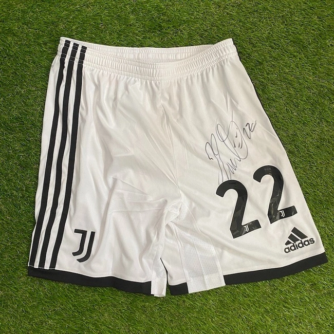 cover image of the auction item