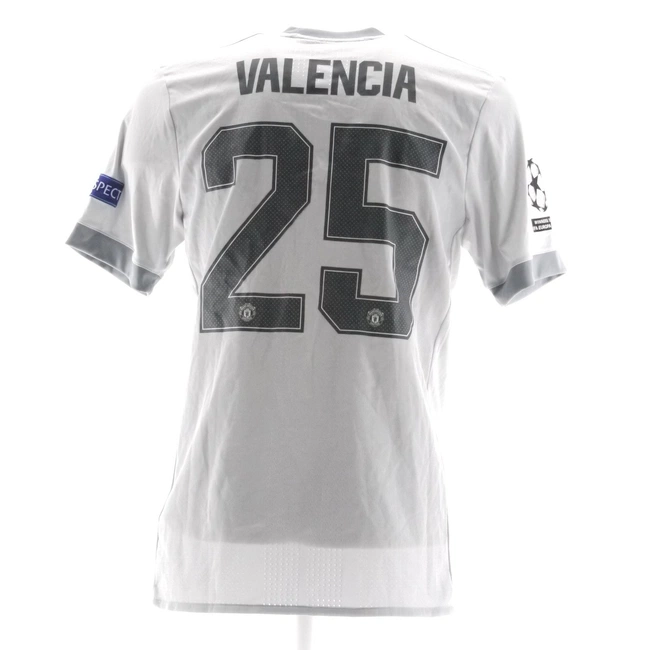 cover of the auction item