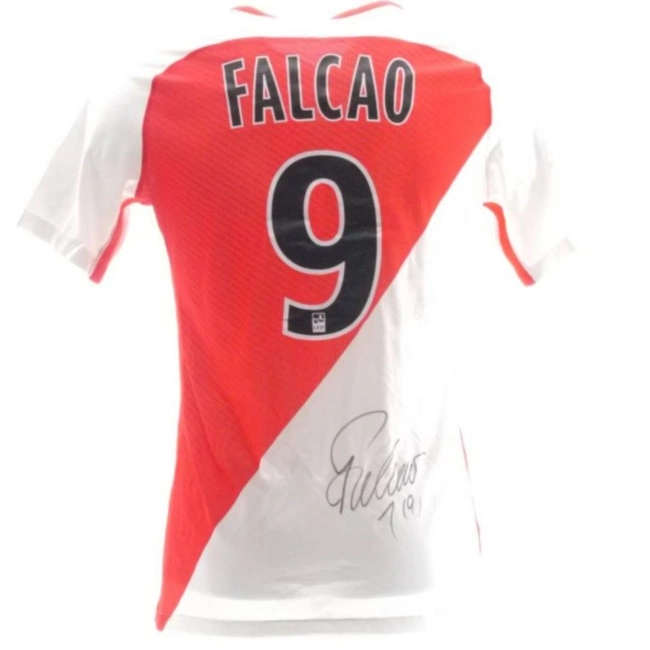 cover image of the auction item