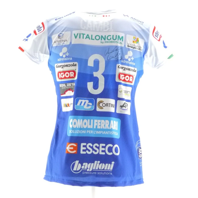 cover of the auction item