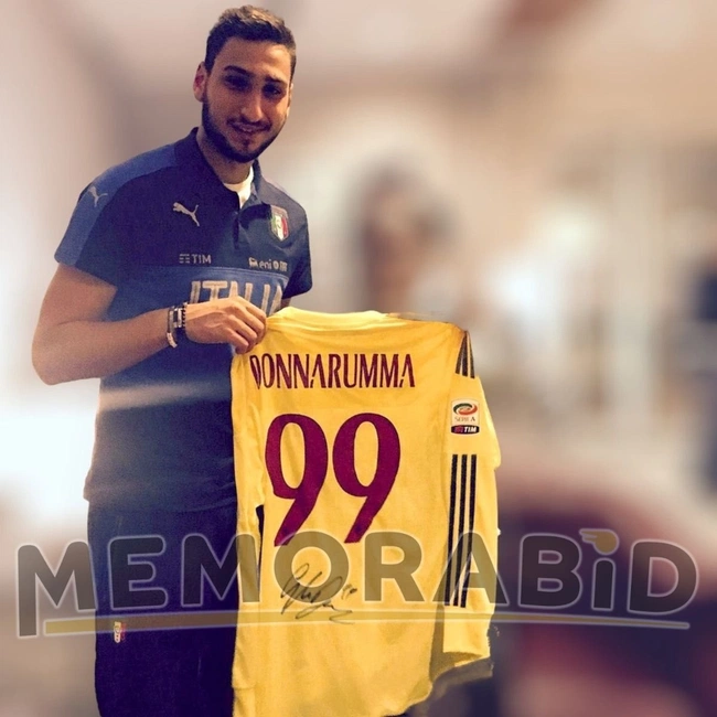 cover of the auction item